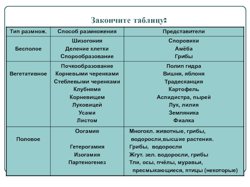 Кракен москва